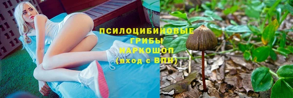jwh Зеленодольск