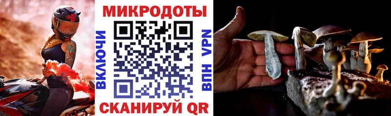Псилоцибиновые грибы GOLDEN TEACHER  Жуковка 